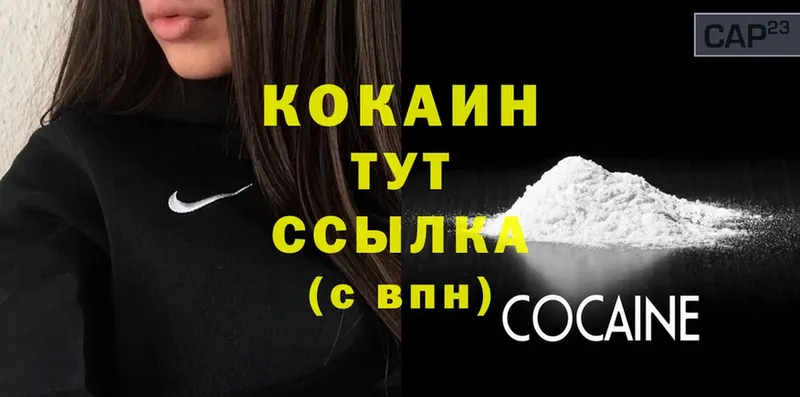 Cocaine Fish Scale  хочу   Артёмовск 